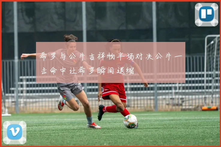 希罗与公牛吉祥物半场对决公牛一击命中让希罗瞬间退缩