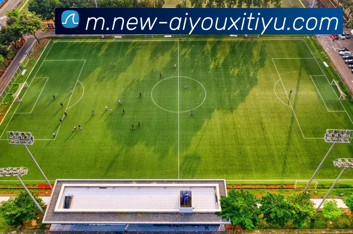 爱游戏体育品牌故事